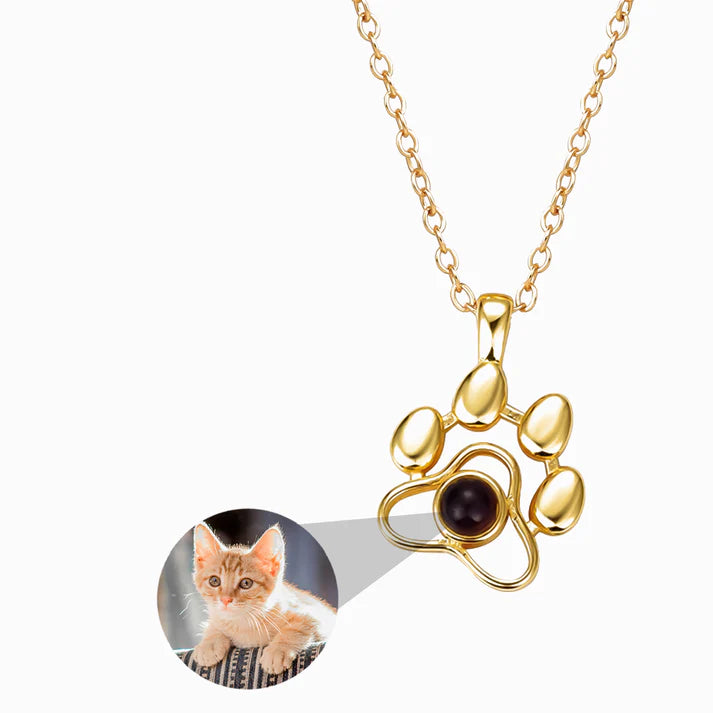 Collar Perrito con Foto Personalizada